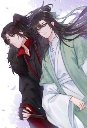 星媒舵手